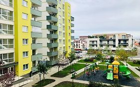 Joy City Stay Stefan Baciu 9